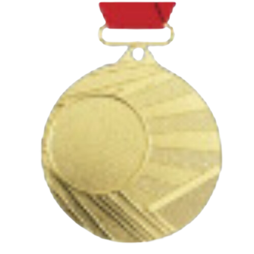 Gold Medal - Peg Points - 2nd Place
