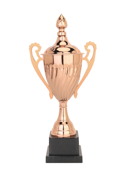 Bronze Trophy - Coaches award - Special points Beginner Champion
