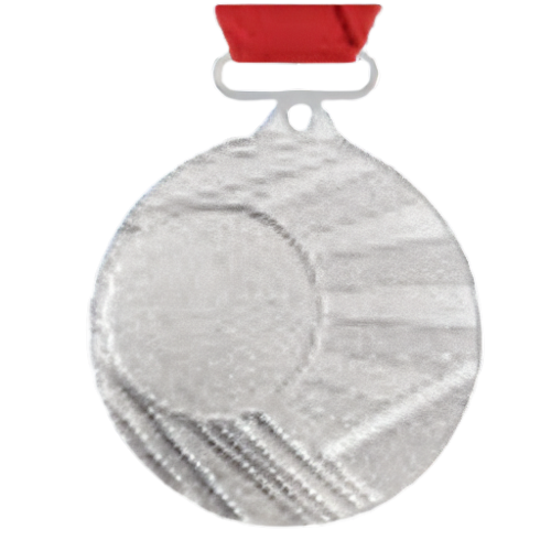 Silver Medal - Champion Div 1